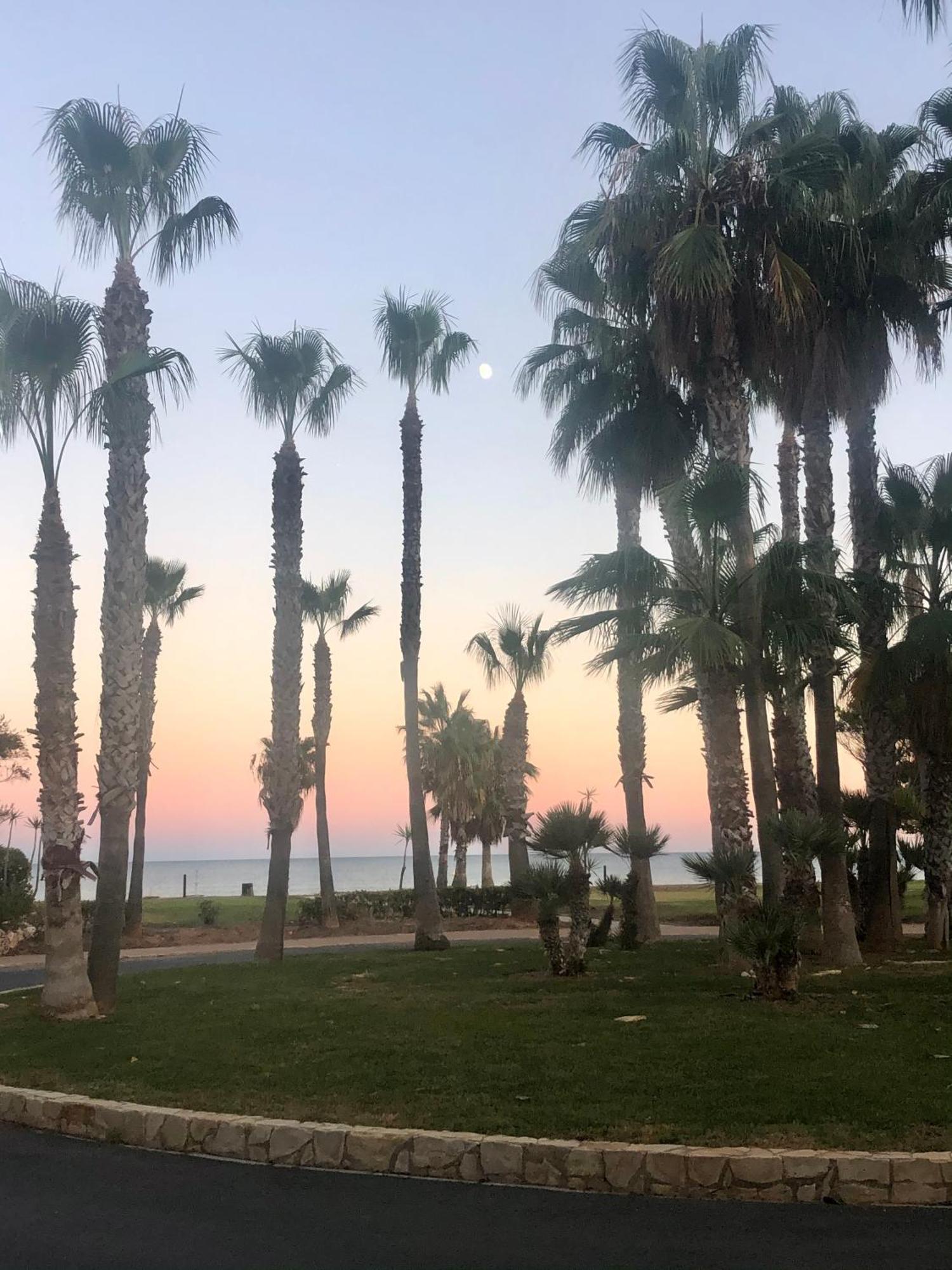 Marina Dor Primera Linea Daire Oropesa del Mar Dış mekan fotoğraf